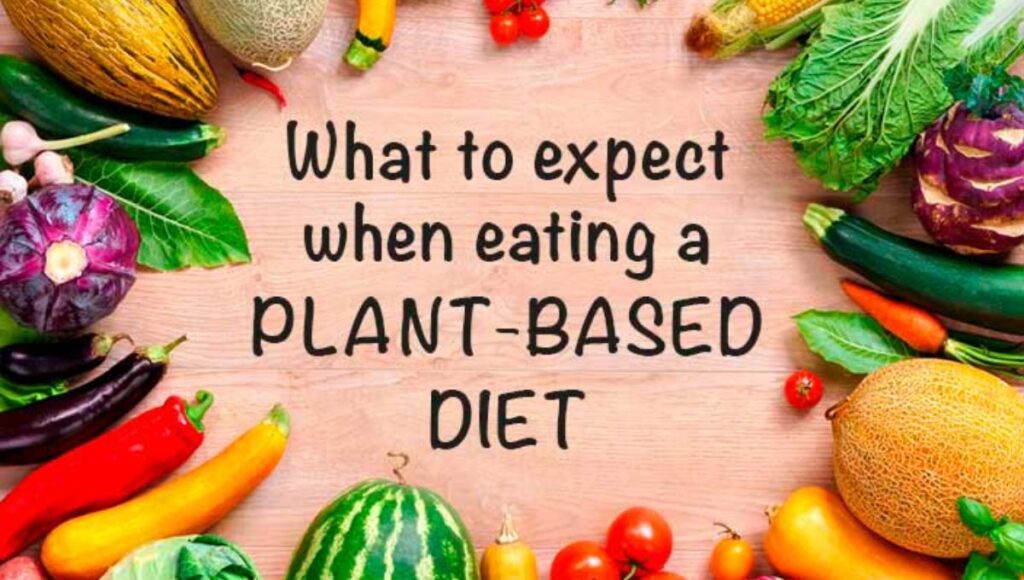 Plant Based Nutrition